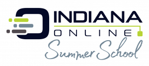 IO Academy _summer school logo